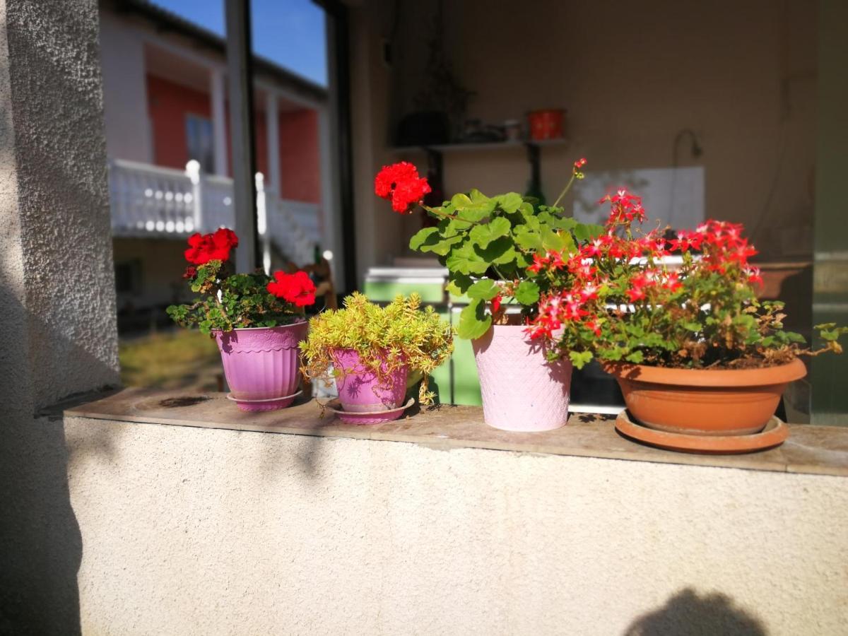 מלון Matkhoji Nini'S Sweet House מראה חיצוני תמונה