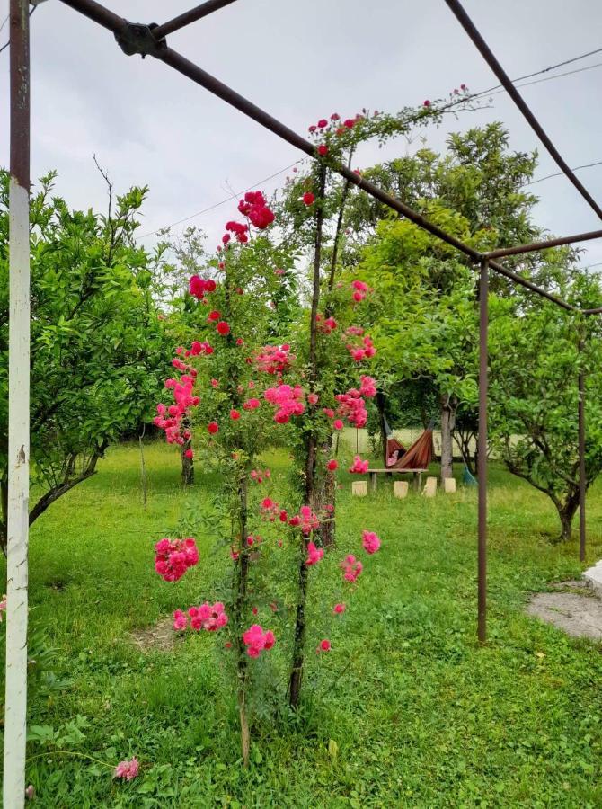 מלון Matkhoji Nini'S Sweet House מראה חיצוני תמונה